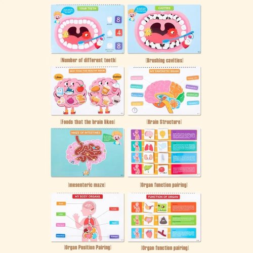 Sách hoạt động tương tác cho bé — kéo & tháo, tìm hiểu cấu tạo cơ thể, sách yên tĩnh cho phát triển nhận thức sớm