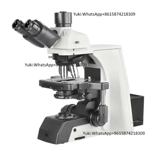 Kính Hiển Vi Quang Học Hai Mắt Ne Series Ne910 - Kính Hiển Vi Giáo Dục Sinh Học
