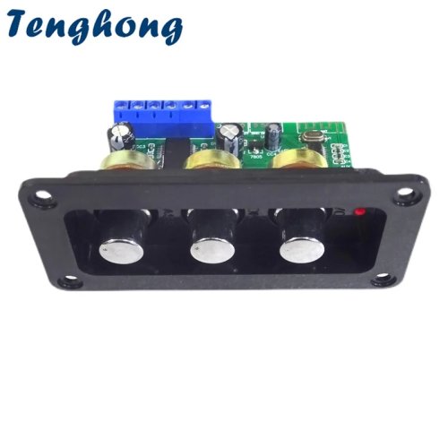 Tenghong Bluetooth 5.0 Mono-Subwoofer-Verstärkerplatine 30W, DC12–24V, mit Fernbedienung – DIY-Lautsprecherverstärker