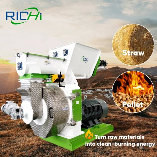 Máquina de pellets de biomasa RICHI automática para heno y paja — máquina granuladora totalmente automática, fabricante: India