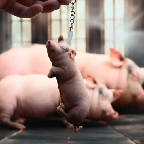 Realistisch slapend varken knuffel, zacht kussen van premium katoen, baby shower cadeau, bank decoratie
