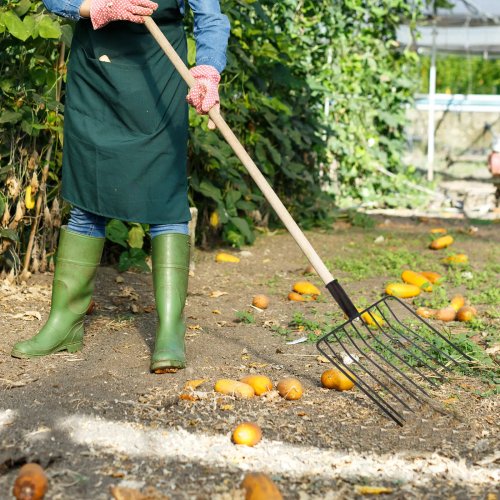 Cabeza de horca de acero resistente de repuesto para jardín, manejo de compost y estiércol, cuidado del césped, aflojar suelo, deshierbe agrícola