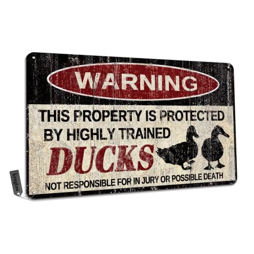Ducks Tin Sign, Funny Metal Sign, Vintage Wall Decor - Warning This Property Protected by Ducks