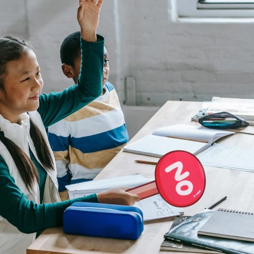 2 Stemkaarten Ja/Nee van PVC, Draagbaar voor de Klas, Herbruikbaar, voor Docenten