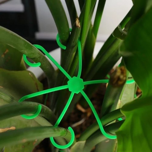 Clip di supporto per piante rampicanti verdi a fiocco di neve, gancio per stelo di fiori in plastica per piante da interno