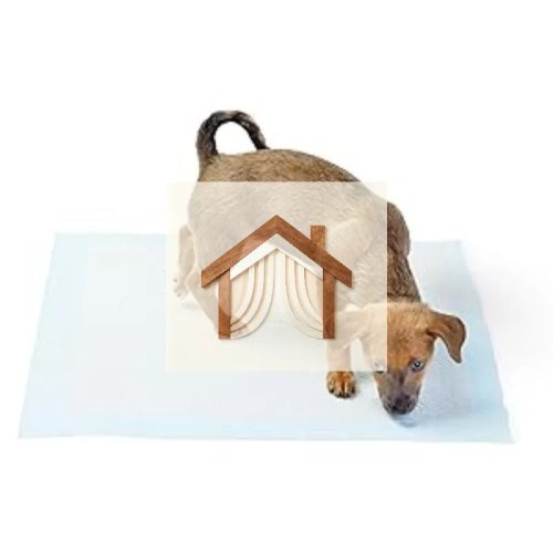 Yu's Decoration Store