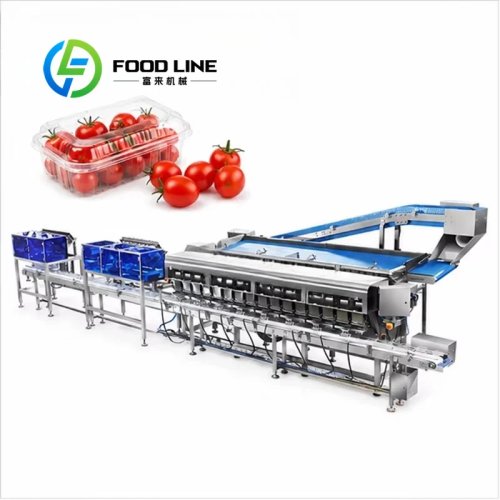 Automatische Clamshell-Verpackungsmaschine für Kirschtomaten mit integrierter Linie und Präzisionswiegung