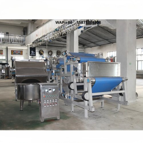 Industrielle Saftpresse 220V, Schnecken-/Bandtyp für Obst- und Gemüseverarbeitung