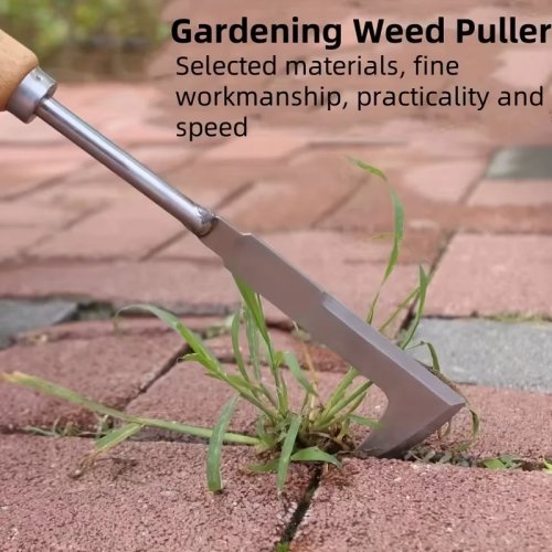 Ferramenta para remover ervas daninhas das juntas em aço inoxidável, ferramenta manual de jardim multifuncional em forma de L, para limpar ervas daninhas em quintais, terraços e caminhos.