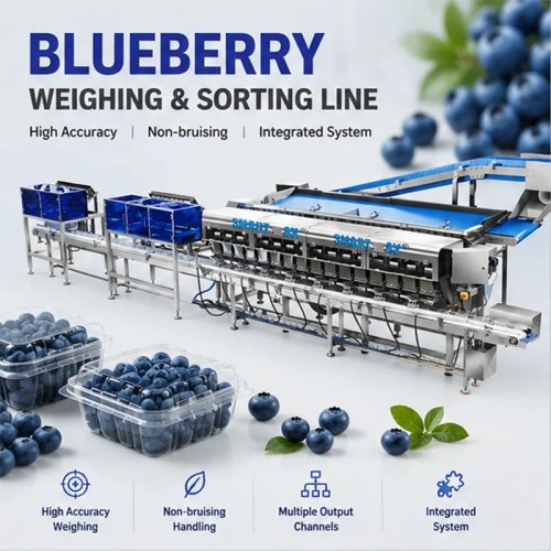 Blaubeer-Clamshell-Verpackungsmaschine mit schonender Handhabung, Wiege- und Abfülllinie, optional Pick-and-Place-Roboter, individuell anpassbar
