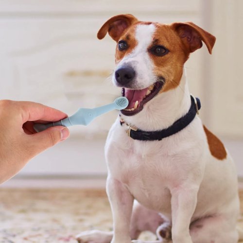 2 pezzi Spazzolino in Silicone per Cani e Gatti – Kit per la Pulizia Dentale di Cuccioli e Gattini