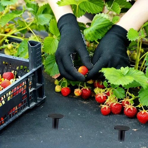 50 pezzi Picchetti per tenda in plastica per campeggio e giardino