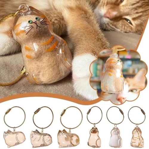 Llavero de recuerdo para mascotas con cápsula de resina para pelo de gato o perro – colgante del arcoíris