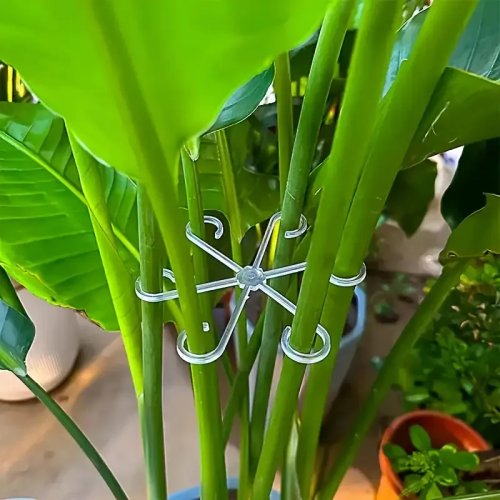 4 Piezas de Estacas Transparentes para Plantas, Estacas de Jardín Plegables en Forma de U para Bambú y Plantas en Maceta, Uso en Hidroponía Interior y Exterior