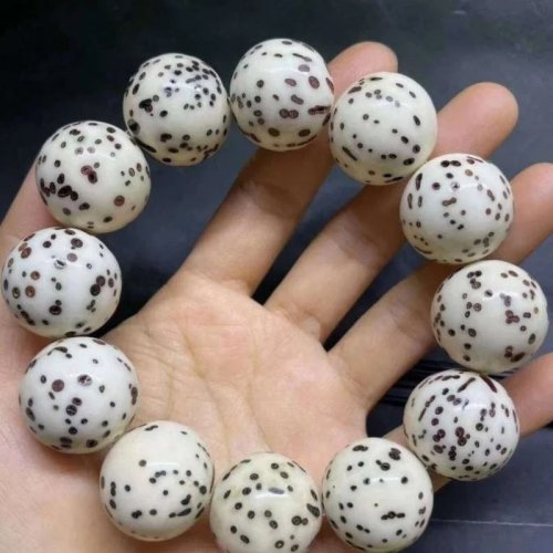 Pulsera de Bodhi de Mil Ojos hecha a mano, pulida natural, alta densidad, 22/11 mm