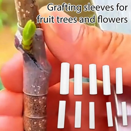 Manchons de Greffage en Silicone 50 pièces – Protecteur Flexible pour Plantes et Arbres, Tube de Horticulture pour Jardiniers