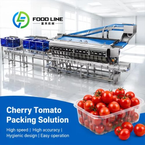 Automatic Cherry Tomato Clamshell Packing Line for Fresh Food Industry Fruit Vegetable Packaging Solution Customizable