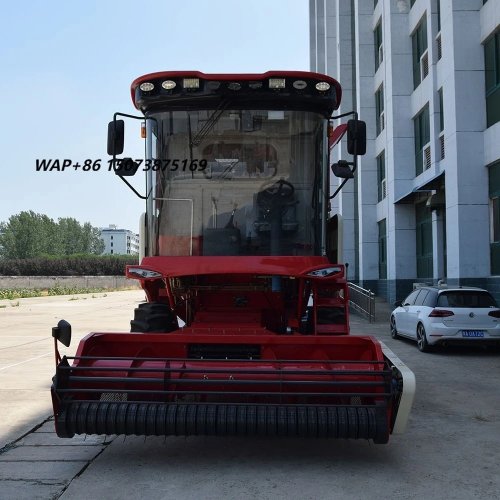Shop1105675966 Store