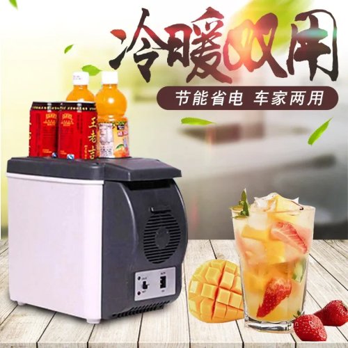 ポータブルミニ冷蔵庫 12V 車載・家庭用 6L 冷却・加熱対応