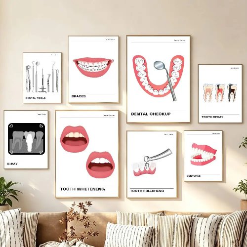 Poster Anatomi Gigi, Perawatan Mulut, Dekorasi Dinding Stiker untuk Klinik, Sekolah, Restoran