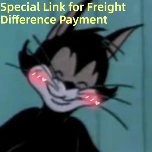 Order price difference payment link – do not place an order directly.