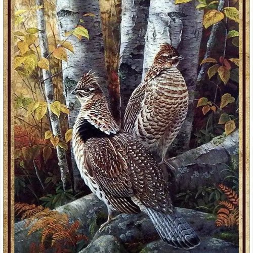 Vintage Metal Sign with Grouse Bird Wall Decor - Retro Tin Plaque for Home Office Bar Cafe