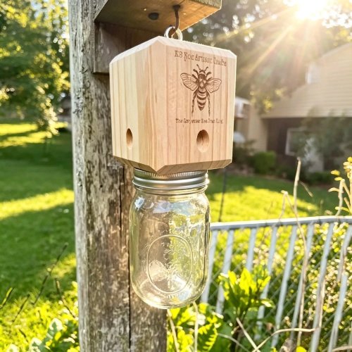 Piège à abeilles charpentières en bois, toit en croupe, suspendu, attrape-insectes pour jardin extérieur, maison piège amovible pour la lutte antiparasitaire et l'observation des abeilles