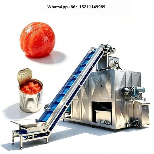 Complete Tomato Processing Plant Turnkey Food Factory Equipment