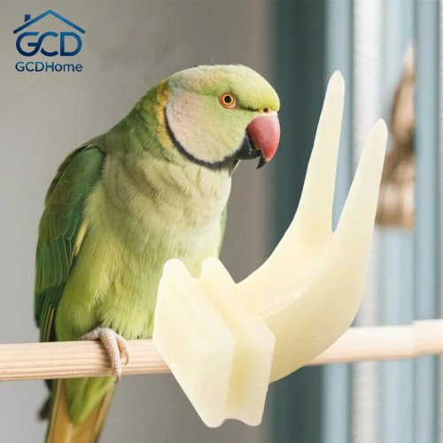 5 Pcs Bird Feeding Fruit Forks, Lightweight Plastic Food Holder, Non-Slip Cockatiel Feeder for Bird Cage, Pet Accessories