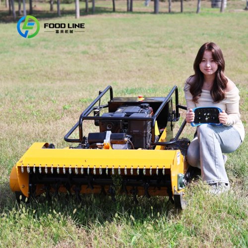 Small Robot Lawn Mower with Remote Control