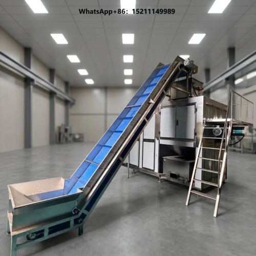 Commercial Tomato Processing Machinery Stainless Steel Equipment