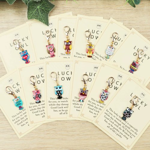 12 Pcs Owl Keychains with Motivational Card - Cute Bag Charm Gift