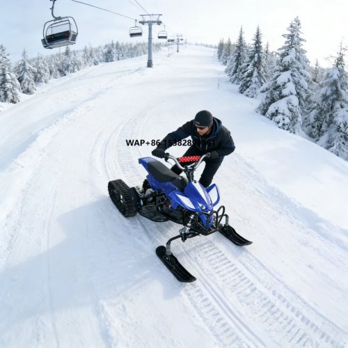 Electric Snowmobile for Kids & Adults, 36V 350W, 20km Range, 50kg Capacity, Steel Frame, Anti-Freeze Plastic, Rear Track Drive
