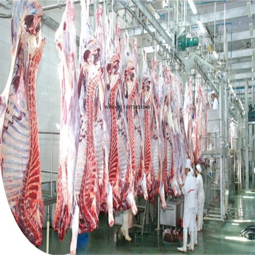 Dairy Slaughterhouse Slaughtering Machine Production Line