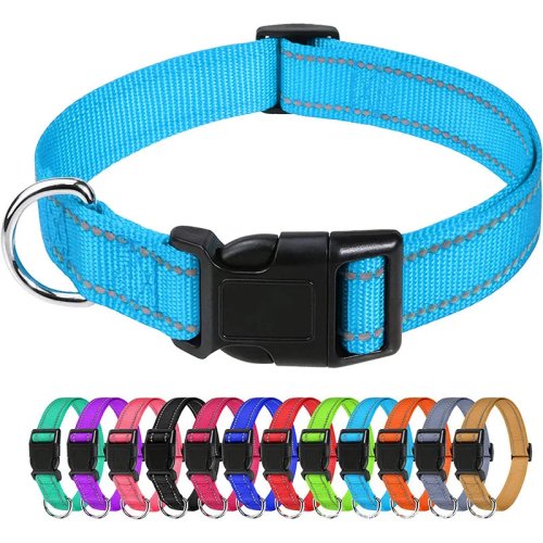 Collier réfléchissant pour chien avec sangle en nylon réglable et laisse pour petits et moyens chiens