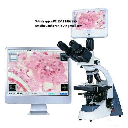 Microscopio biologico binoculare digitale con display video per laboratorio e didattica, alta risoluzione compatibile con fotocamera
