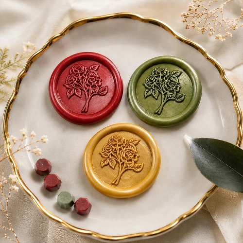 Compass Wax Seal Stamp Nautical Theme 25mm Brass Head with White Bubble Handle for Wedding Invitations, Birthday Cards