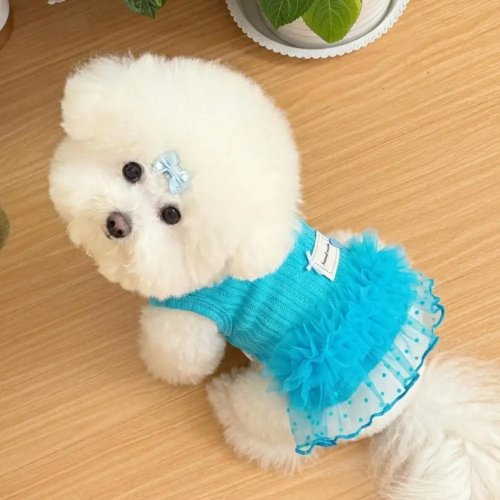 Vestido azul sin mangas con capucha para perros pequeños Chihuahua ropa de verano para perras