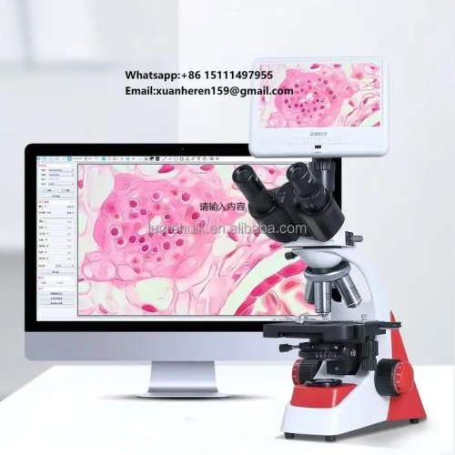 Microscopio Binocular Profesional HD 195 Objetivo Laboratorio Médico Pantalla 4K de 10.5 Pulgadas HDMI a Ordenador