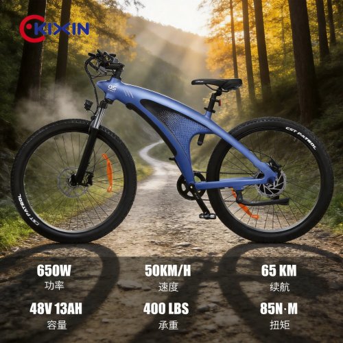 Q5 Hochleistungs-E-Mountainbike, Offroad-E-Bike mit Gangschaltung für Erwachsene