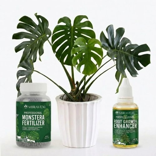 Estimulador de crecimiento de raíces para Monstera, set de fertilizante líquido y granulado concentrado, kit de cuidado para plantas de interior Pro