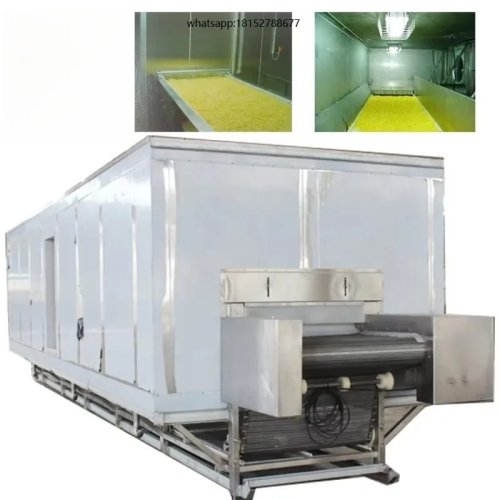 Industrial Frozen Potato Processing Line – Integrated French Fries & Potato Chips Production Equipment