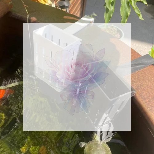 1個 水草植え付けカップ - 水槽の装飾用ハイドロポニックサポートバスケット、アクアリウム愛好家への便利なギフト