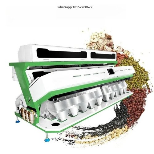 High Quality Hazelnut Processing Machine