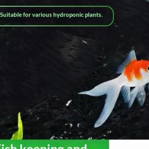 Aquarium Plant Pot, Easy-Install 1pc Fish Tank Planting Cup, Reusable Hydroponic Support Basket for Fish Tank Decor