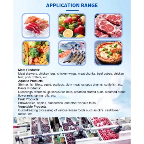 Industrial Blast Freezer Tunnel Machine for Dumpling and Prepared Food Processing