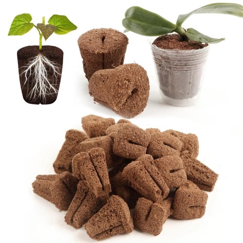 15 Esponjas de Enraizamiento Rápido Hidropónico para Esquejes de Orquídeas, Compatibles con Bandejas de Semillero de 105 y 128 Celdas