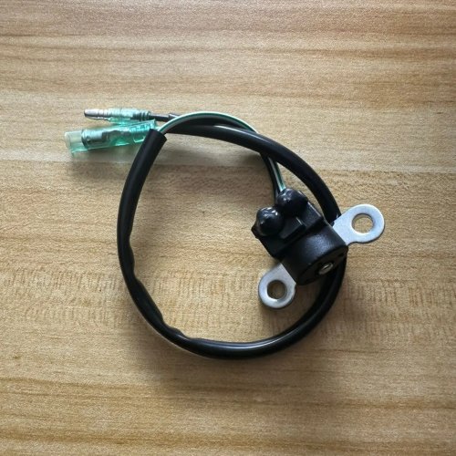 Outboard Motor Ignition Coil Pulser Trigger for Parsun 2-Stroke 20HP Boat Engine Accessories