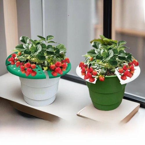 8 Strawberry Plant Supports for Garden, Fruit Holder, Climbing Plant Rack