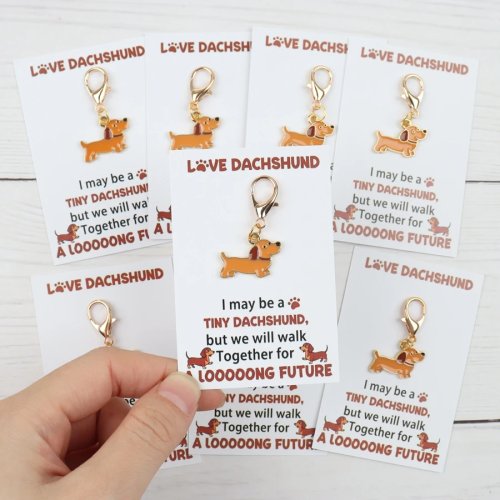 Ensemble de 4/8 porte-clés adorables teckel avec cartes de motivation - Affronter l'avenir ensemble